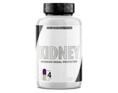 Morphogen Nutrition Kidney