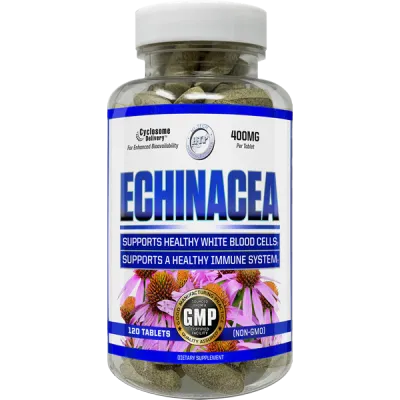 Hi-Tech Echinacea
