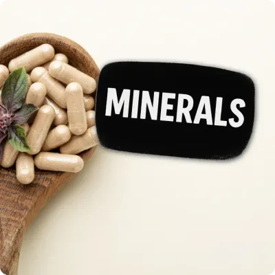 Minerals