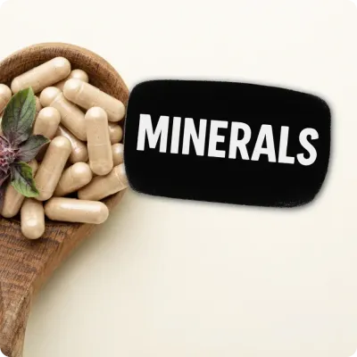 Wooden spoon with mineral supplement capsules and Minerals text, highlighting a selection of supplements for daily wellness.