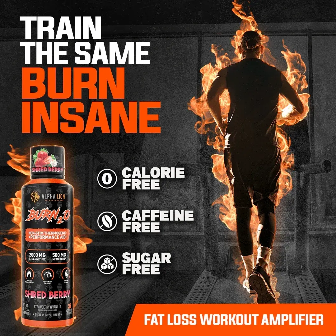 alpha lion burn2o l-carnitine liquid reviews Alpha Lion BURN2O