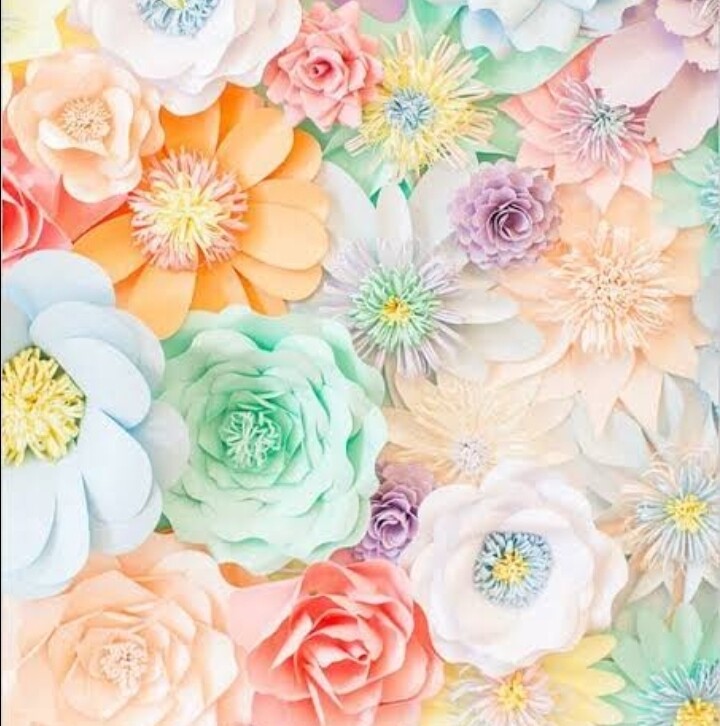 Spring &amp; Summer Collection