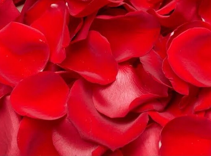 Petal Collection