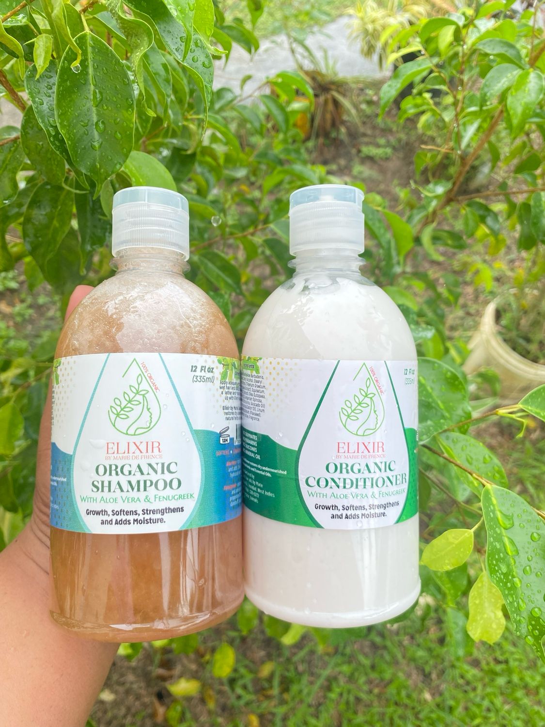 Shampoo and Conditioner