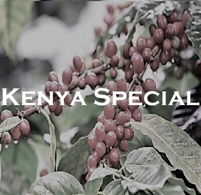 Kenya Special