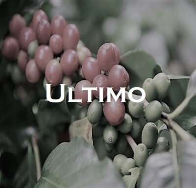 Ultimo