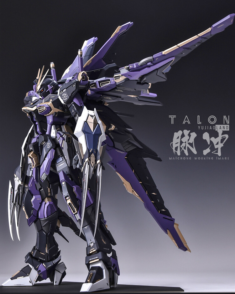 【限定販売】 3168491252.jpg その他