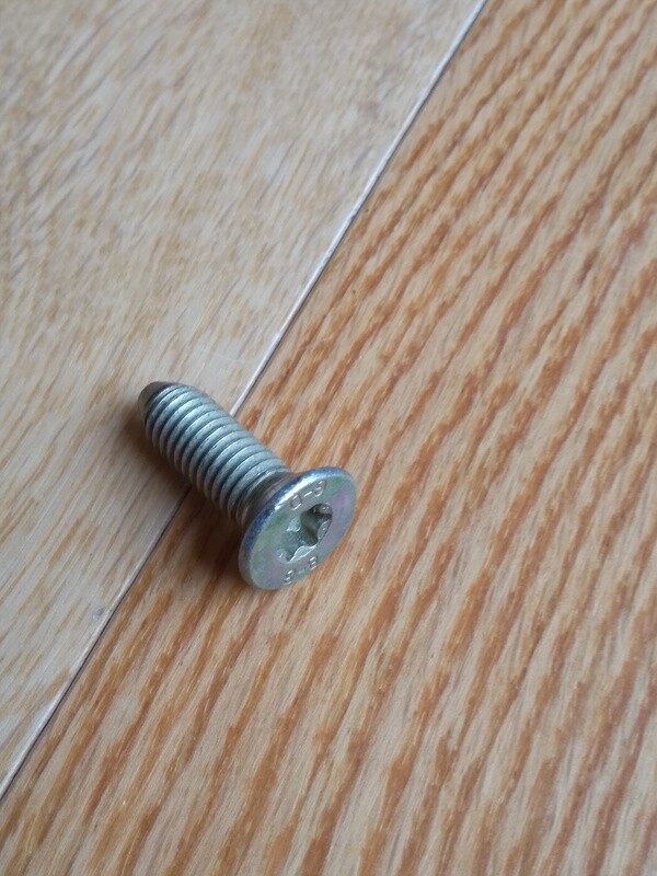 Lost Head Torx Screw Murena Door Hinge