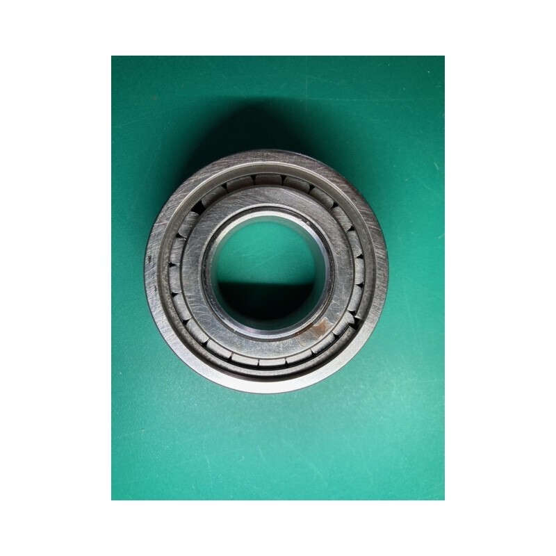 Primary Shaft Bearing Bagheera 76&gt;