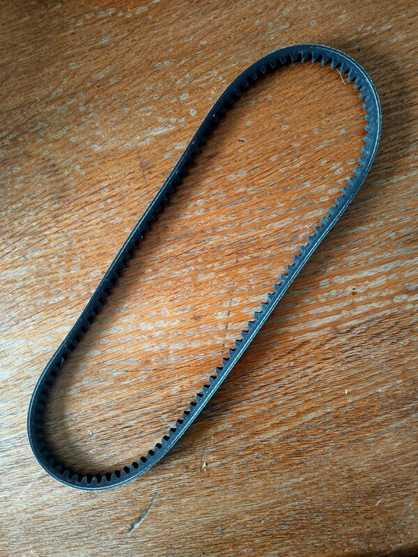 Alternator Belt Bagheera