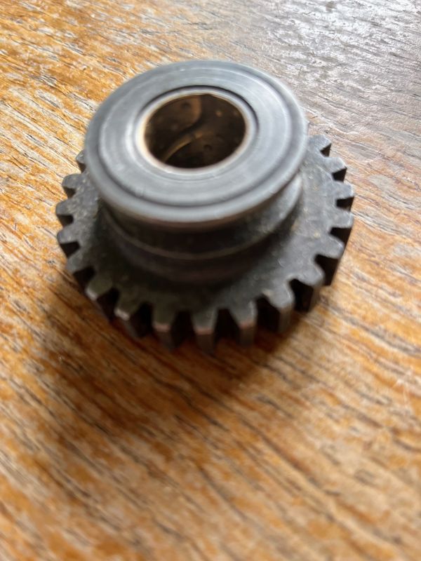 Reverse Gear Cog Bagheera