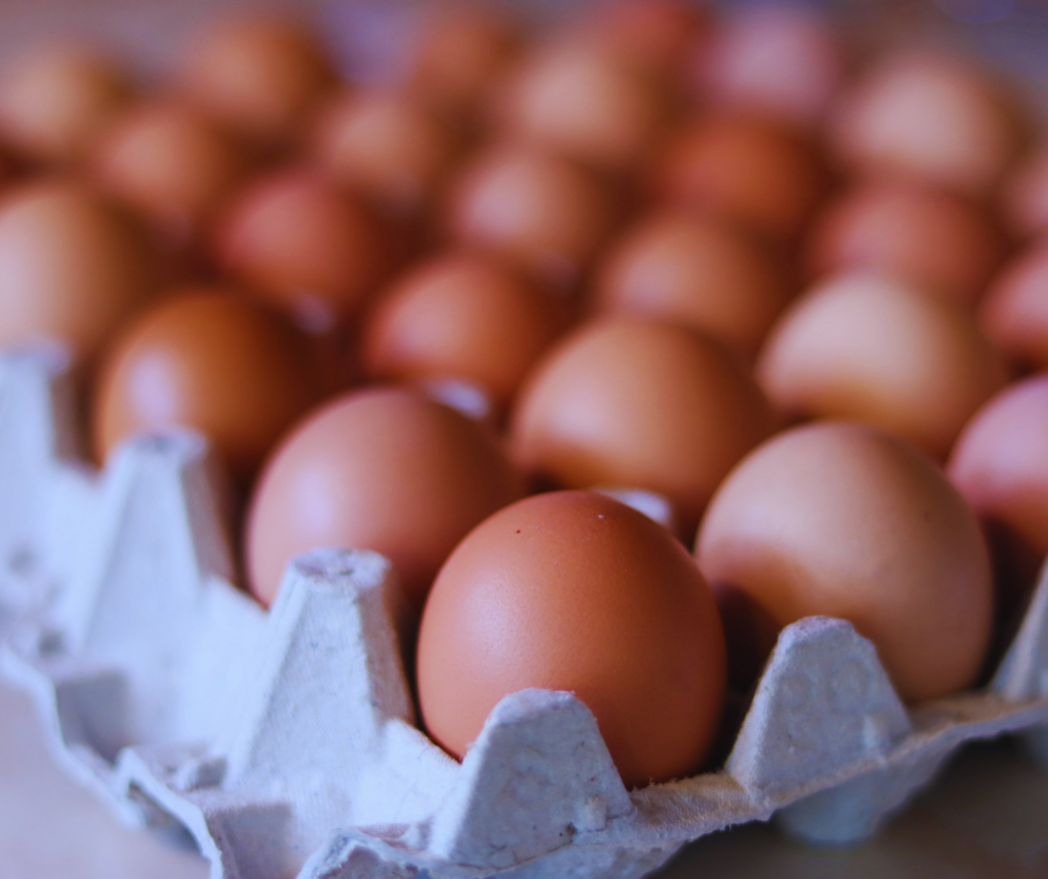 One Crate of Eggs