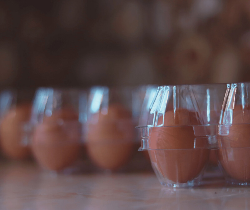 One Dozen Eggs