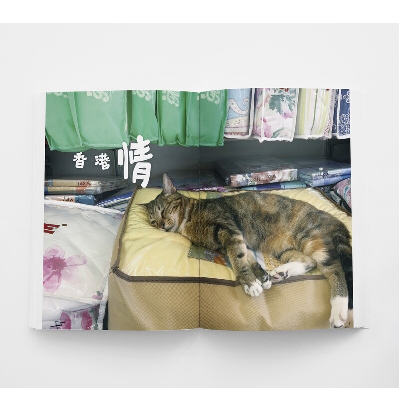 職人貓