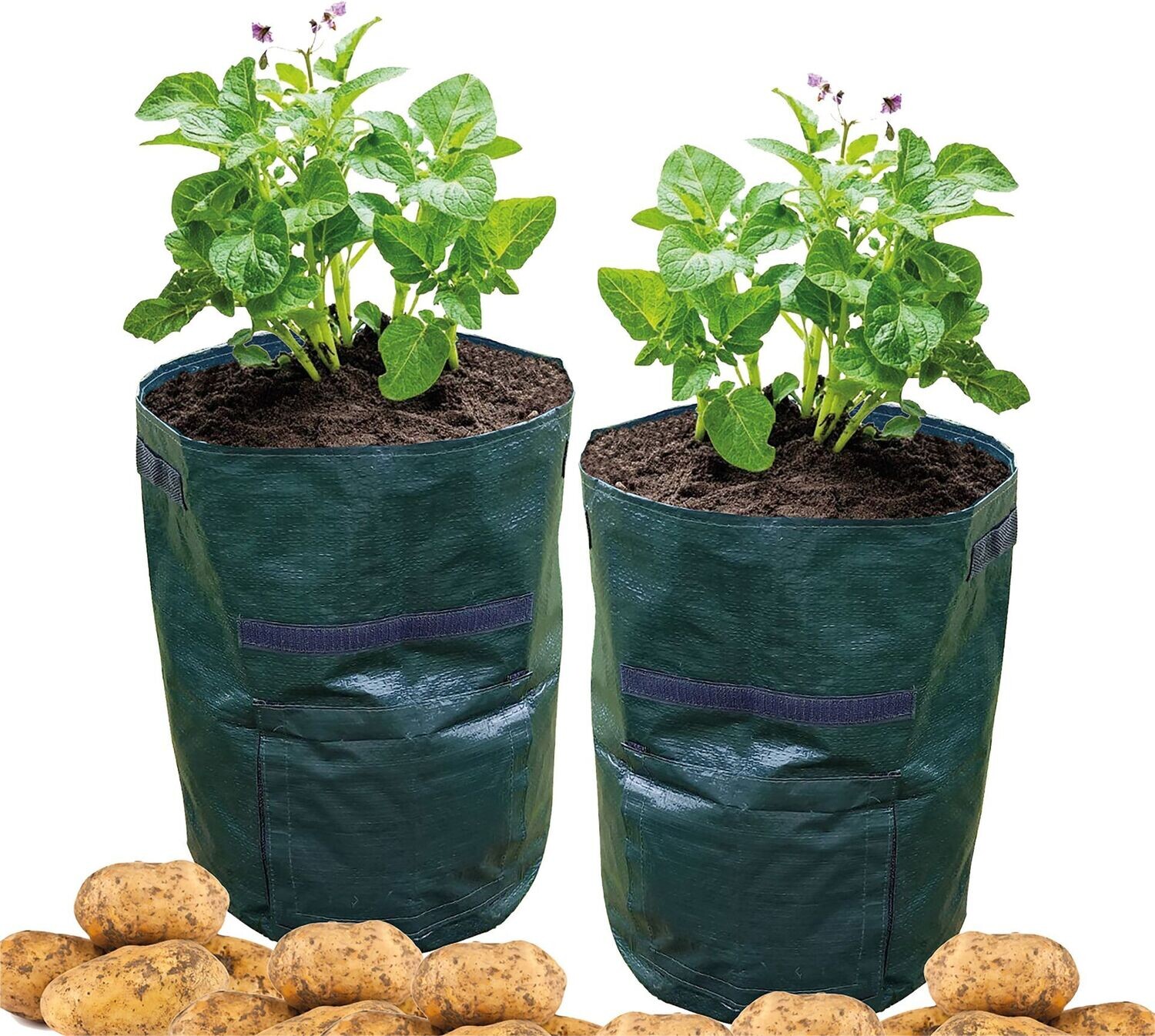 Potato Grow Bag