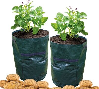 Potato Grow Bag