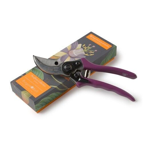 Passiflora Secateurs
