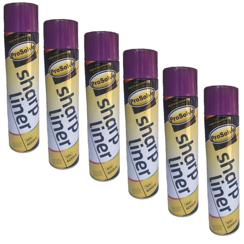 Purple Sharp Liner Marker Paint