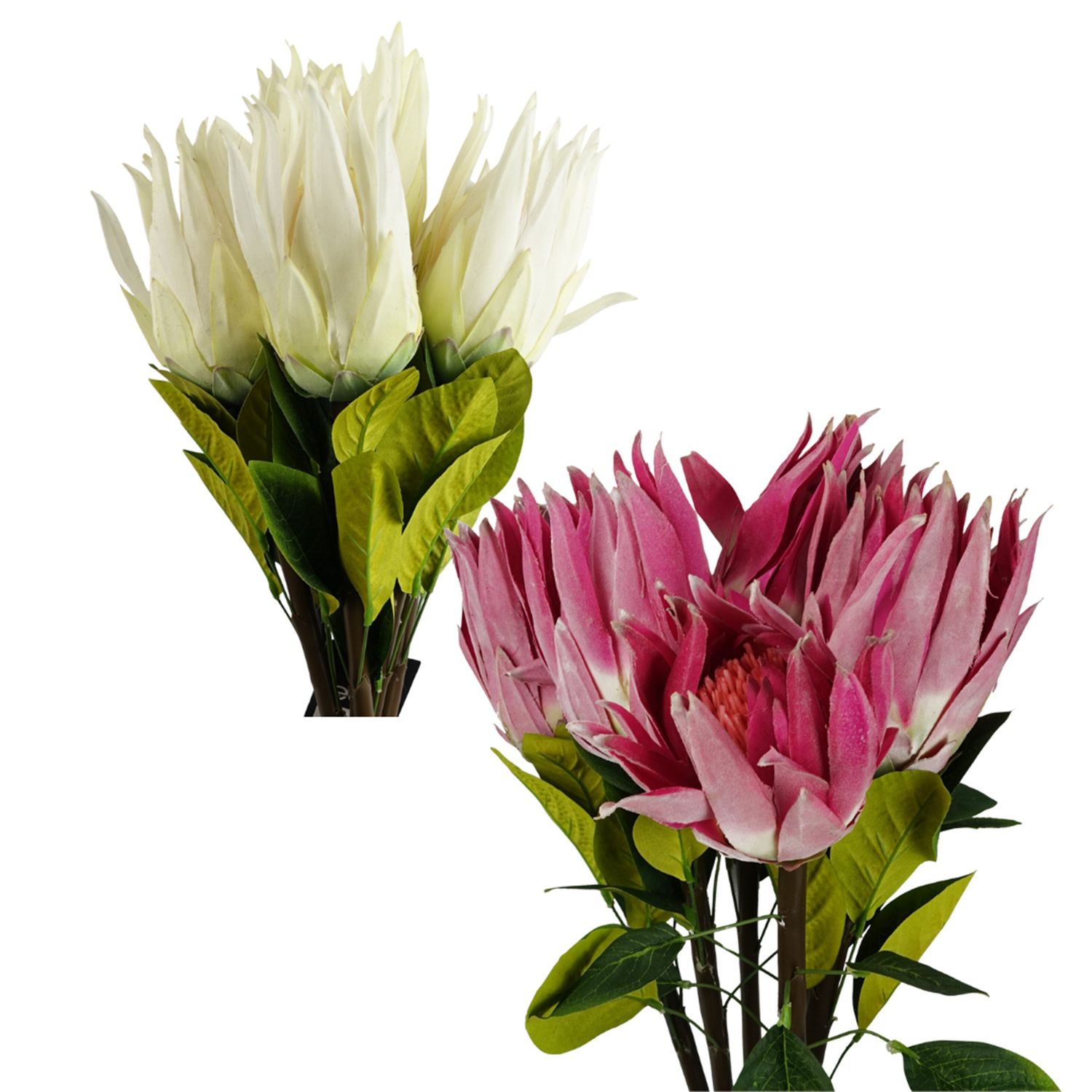 Pack of 6 x 65cm Artificial Protea Sugarbush Flower Stems � Choose White or Pink