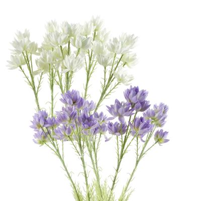 Pack of 6 x 60cm Starflower Stems � 30 Silk Flowers, Purple or White