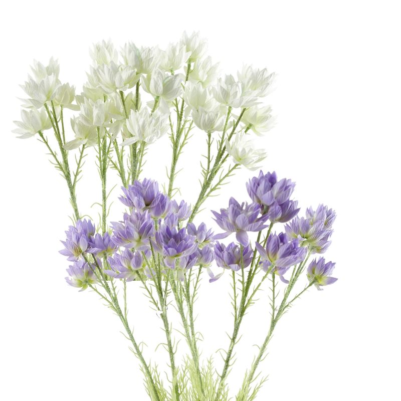 Pack of 6 x 60cm Starflower Stems � 30 Silk Flowers, Purple or White