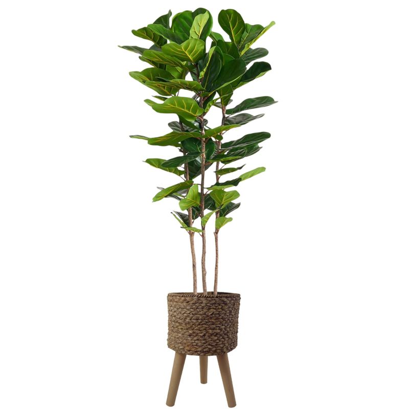 180cm Premium Artificial Fiddle Fig Tree with Realistic Leaves and Woven Effect Composite Planter – Indoor Faux Tree