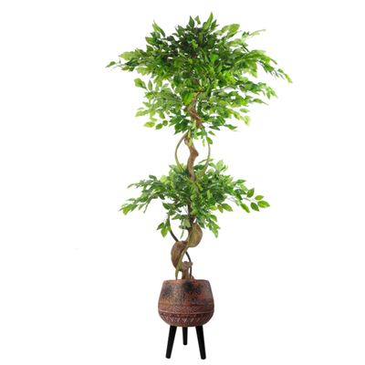 150cm Artificial Japanese Fruticosa Ficus Tree with Twisted Trunk – Realistic Indoor Plant in Large Rustic Brown/Black Planter