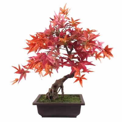 50cm Artificial Red Maple Bonsai Tree with Decorative Planter Realistic Silk Leaves Indoor Ornamental Plant Home Office Décor