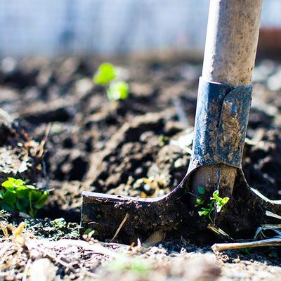 Gardening