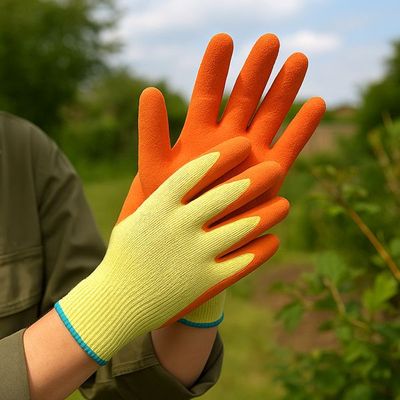 Gloves