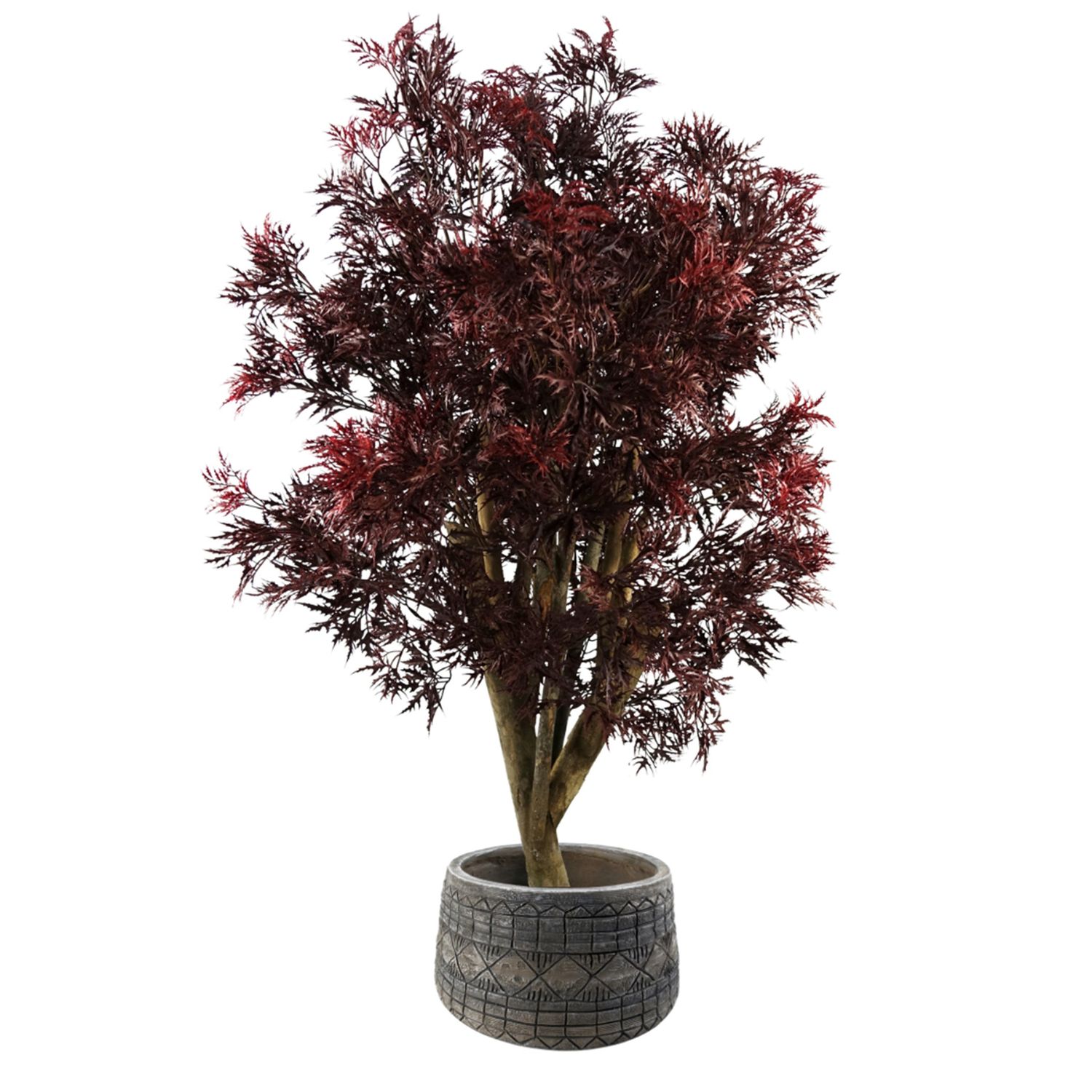 120cm Artificial Red Aralia Tree with Natural Trunk in Large Composite Embossed Rustic Hand Finished Planter, UV Resistant. 120cm Artificial Red Aralia Tree with Natural Trunk in Large Composite Embossed Rustic Hand Finished Planter, UV Resistant.