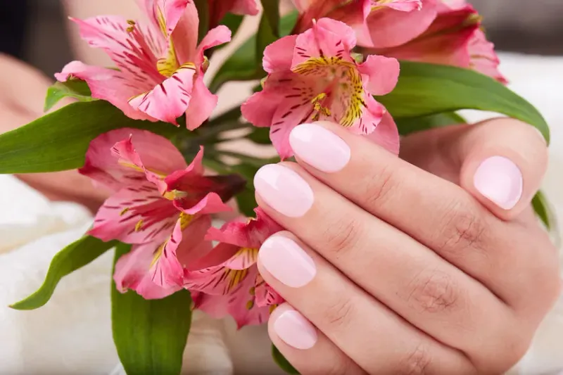 Naturnagelverstärkung Farbe