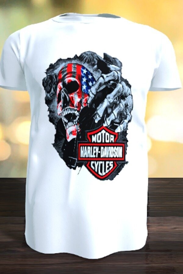 Modelo n012