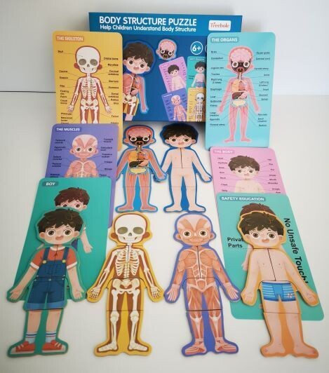 Body Structure Puzzle