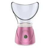 Facial Steamer