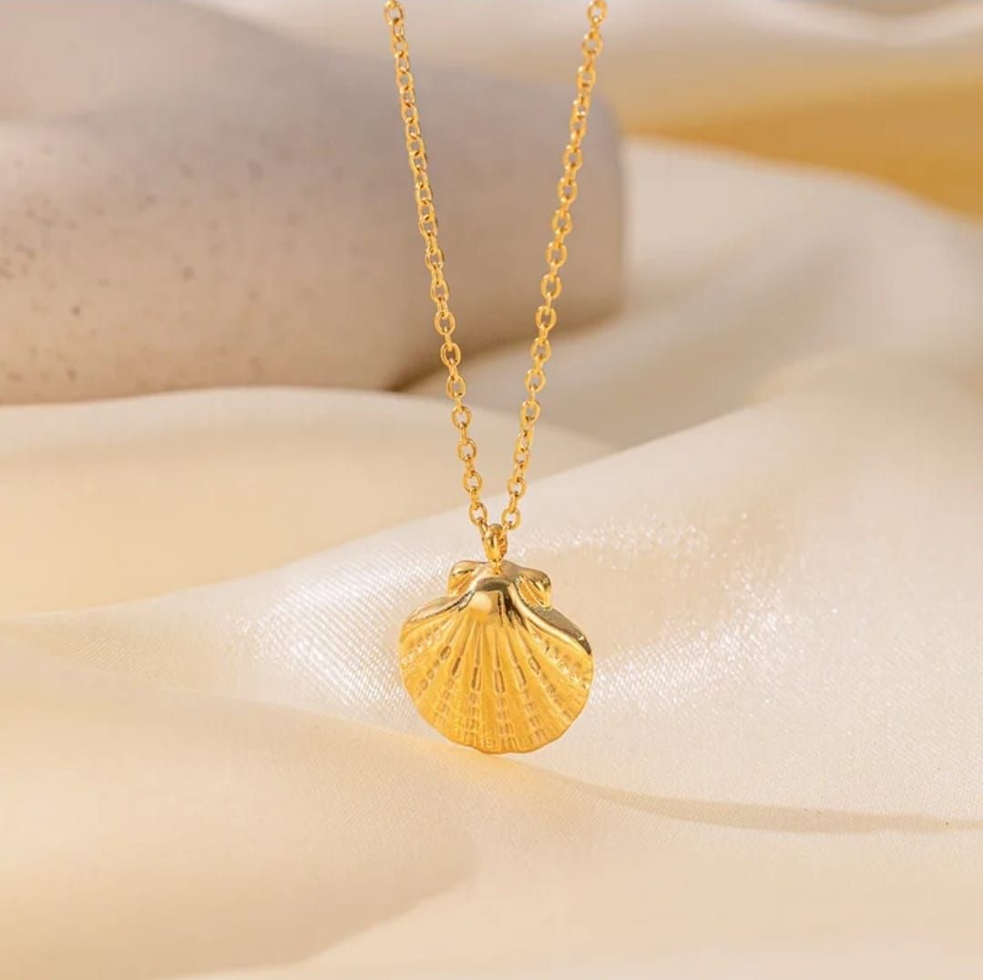 Exquisite Shell Necklace