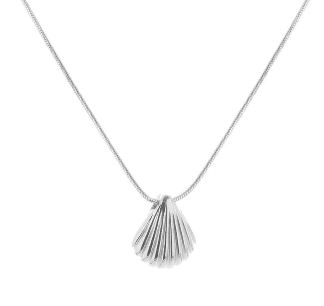 Shell Necklace