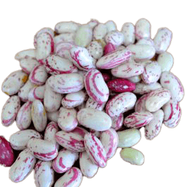 Fresh Beans