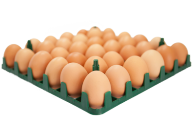 Eggs (Ordinary Yolk)
