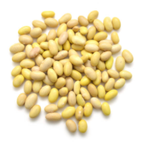 Yellow Dry Beans