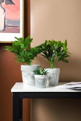 Ceramic Fancy Flower Pots
