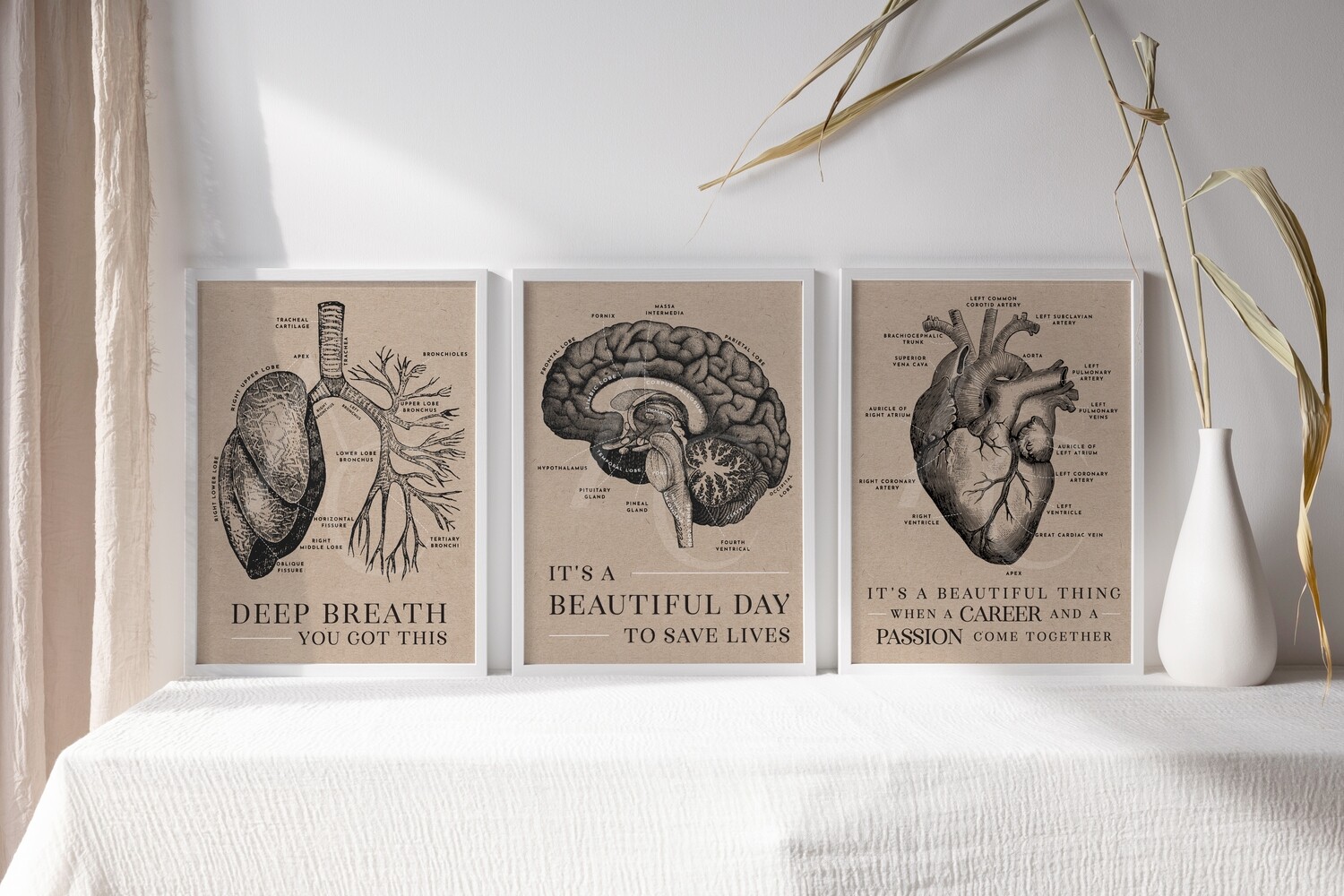 Vintage Anatomy Art Prints