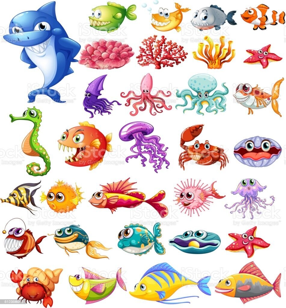 Sea Animals Pack of 12  I375