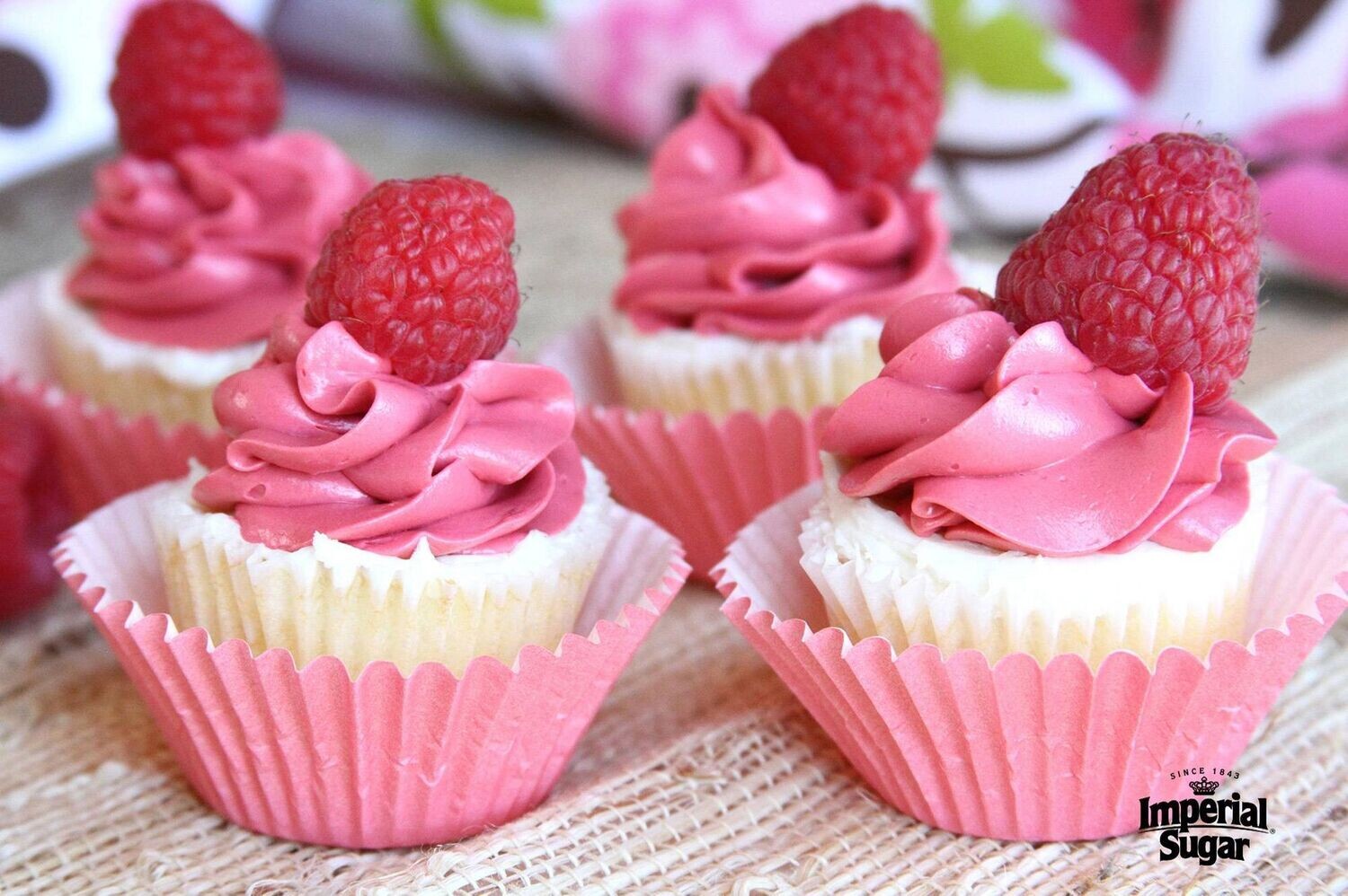 Raspberry Cupcake Frosting 12.5kg E93