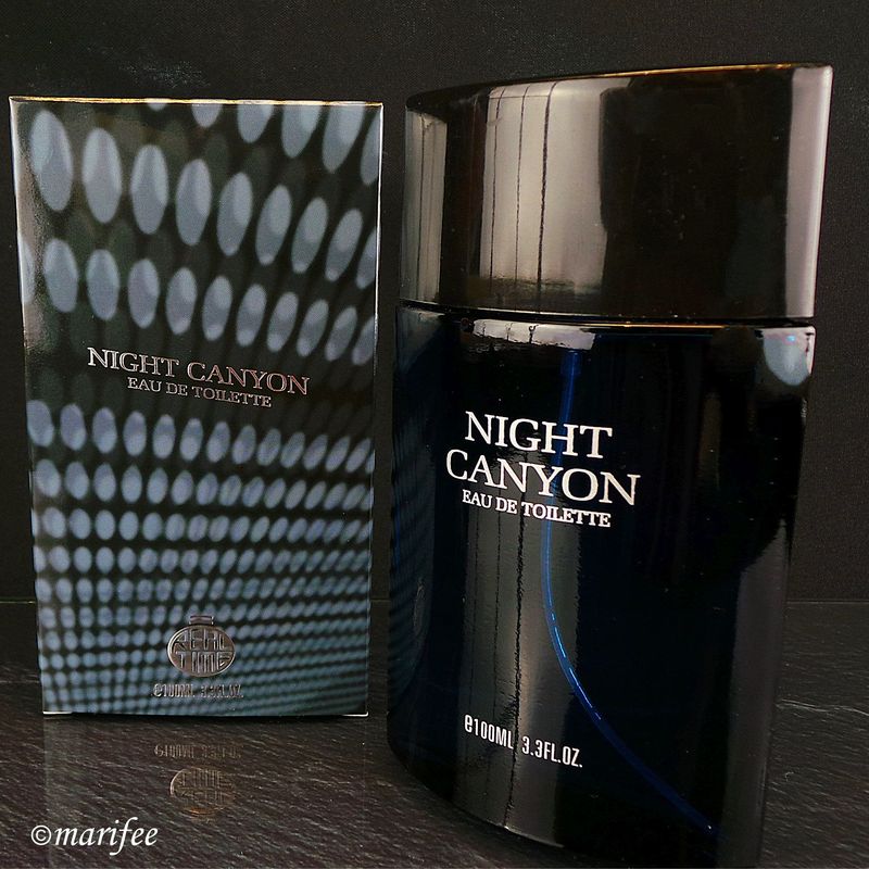 Eau de Toilette, Night Canyon, for Men, 100 ml,