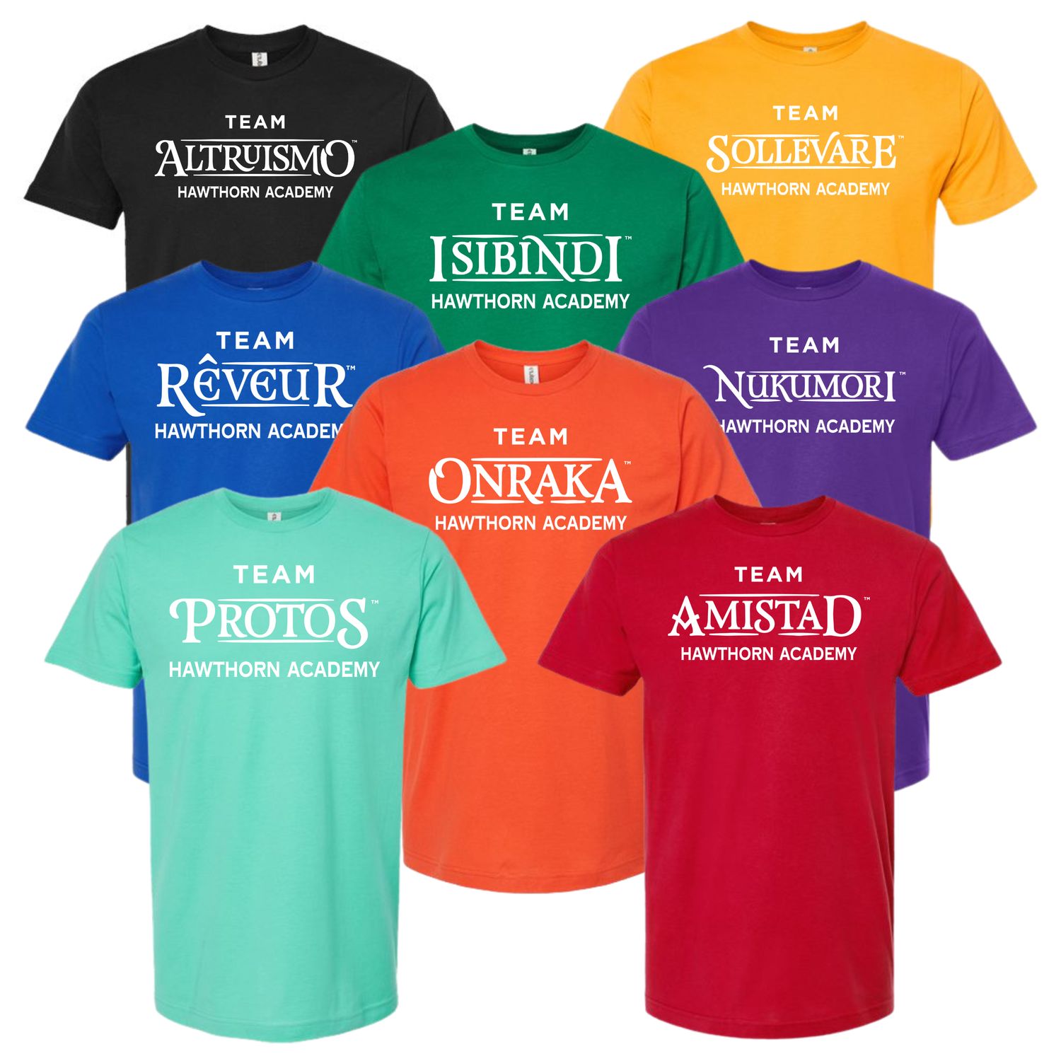 House shirt with Team Name