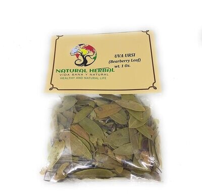 Uva Ursi Hierba/Té (1oz.)