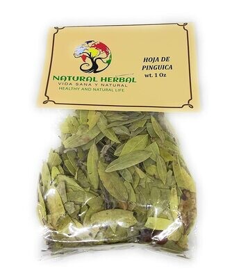 Hoja de Pinguica Hierba / Té (1 oz)