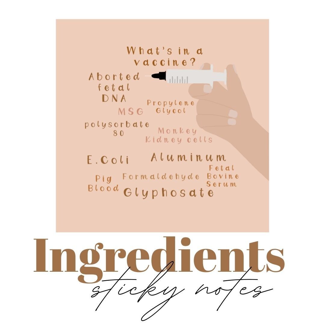Ingredients Sticky Notes