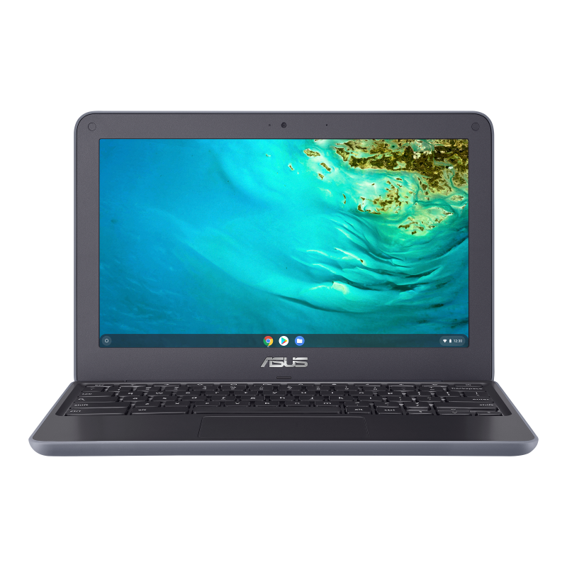 ASUS Chromebook C202X